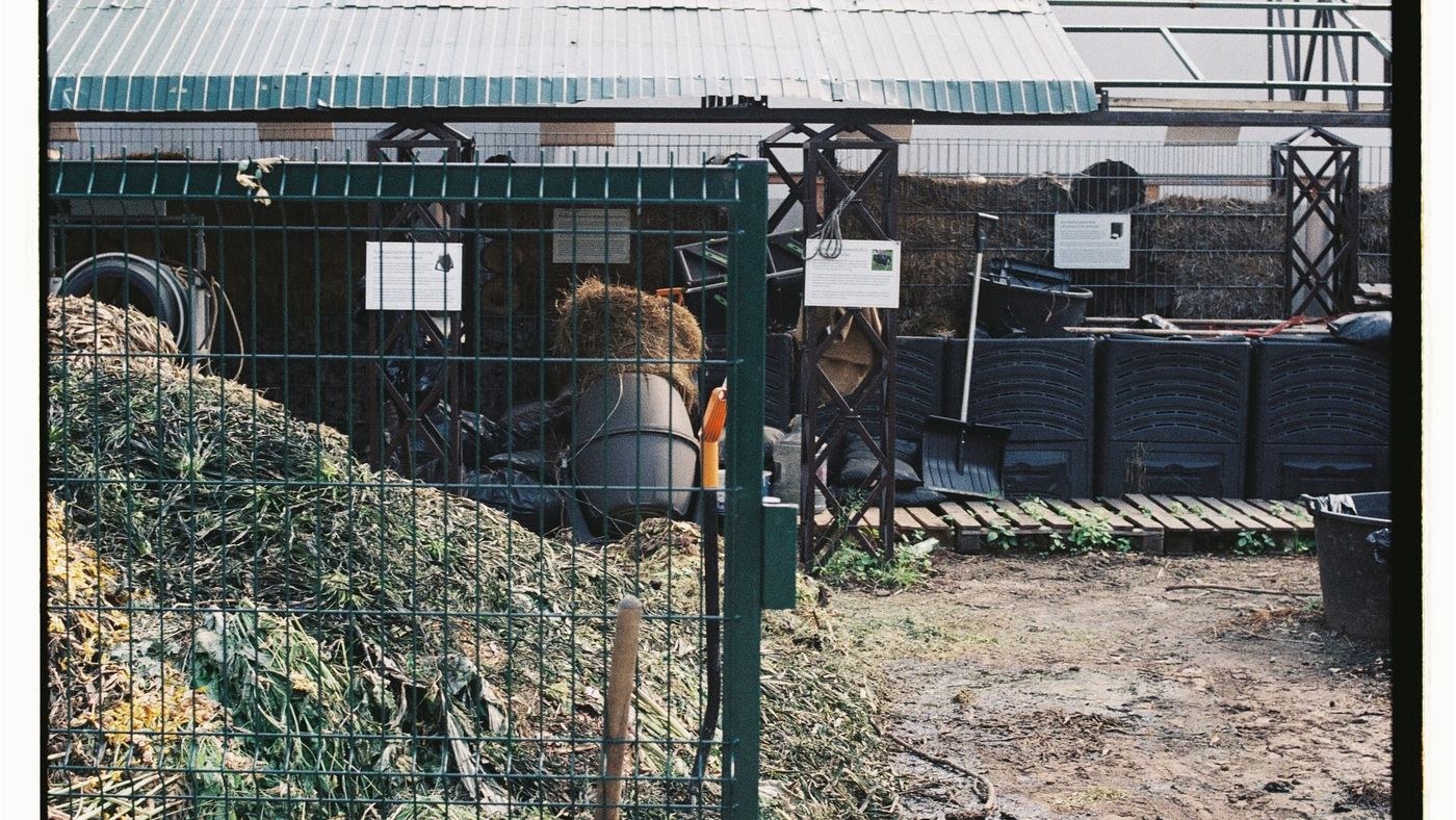 Sustainability and Rubbish Removal in Greenhouses featured image